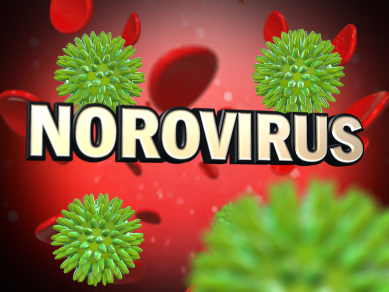 norovirus 17042018