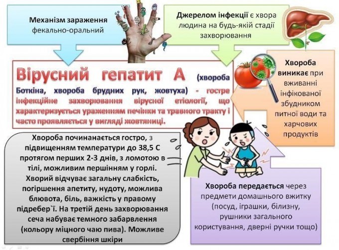Профілактика вірусного гепатиту А — Газета Лубенщина