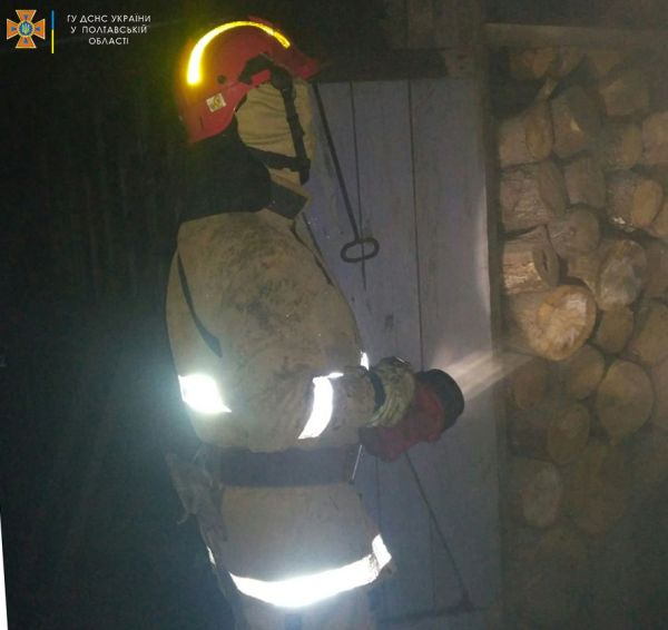 Рятувальники ліквідували пожежу господарчої будівлі в Лубенському районі