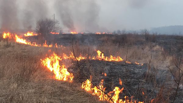 У 11 громадах Полтавщини виникло 13 пожеж