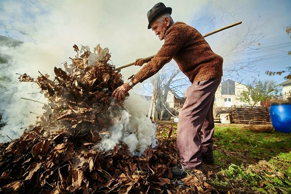 В Україні суттєво збільшено штрафи за спалювання листя, трави та відходів