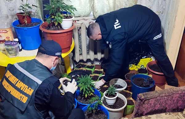 На Полтавщині поліція припинила протиправну діяльність групи осіб, причетних до виготовлення та розповсюдження наркотиків