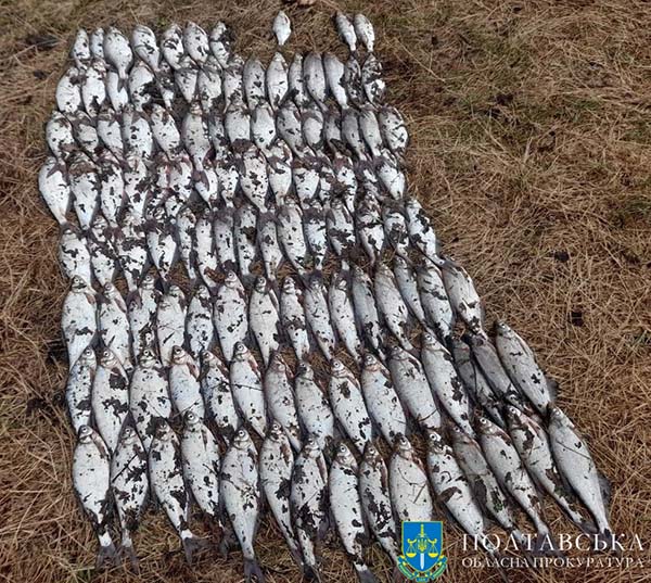 Визнано винним та зобов’язано відшкодувати понад 180 тис грн – за незаконну риболовлю засуджено жителя Лубенського району