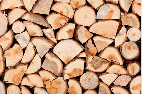 Де, як і за скільки можна придбати дрова у Миргородських лісівників
