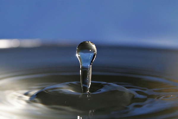 Користування водними ресурсами без спеціального дозволу – підприємство зобов’язано відшкодувати державі понад 860 тис грн завданих збитків