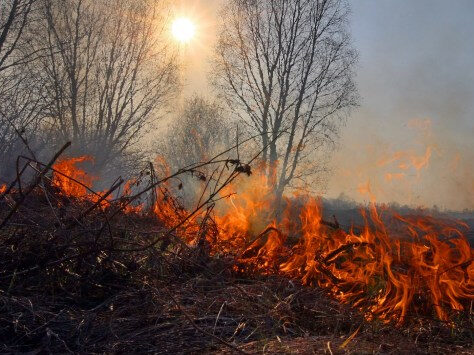 На Полтавщині за добу сталося майже пів сотні загорань