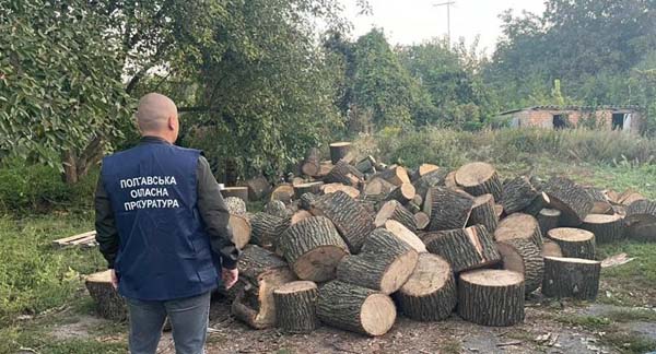 виробничому підрозділу «Лубенська дистанція захисних лісонасаджень» нанесено збитки чорними лісорубами