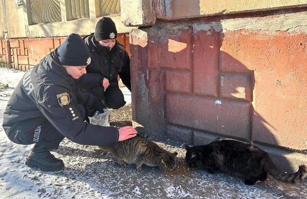 Поліцейські в Лубнах підгодовують тварин
