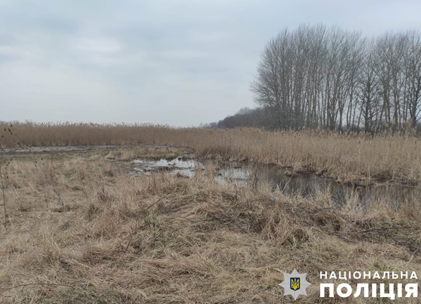 На болоті поблизу Миргорода виявили труп