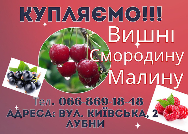 Дорого куплю вишні!