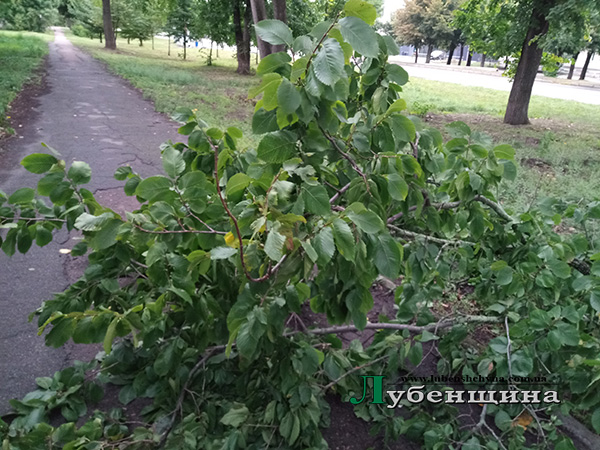 00 IMG 20250823 061709 5
