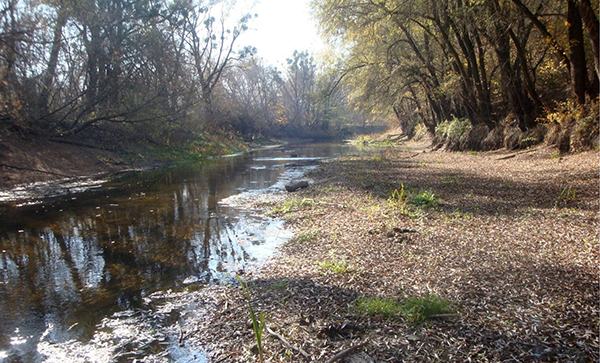 Моніторингові дослідження якості води відкритих водойм