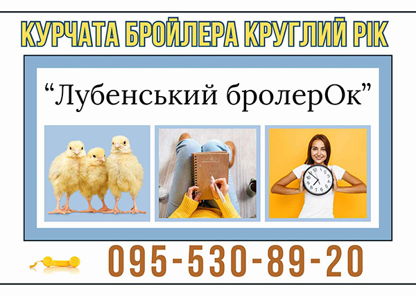 Бройлери від Лубенський бройлерОк