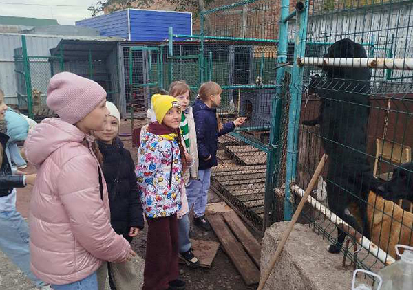 a 558071319 3573018359506669 5173519948473815528 n