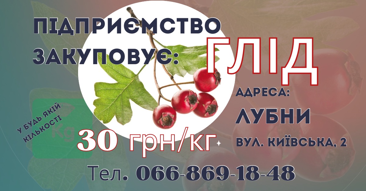 Купуємо ГЛІД