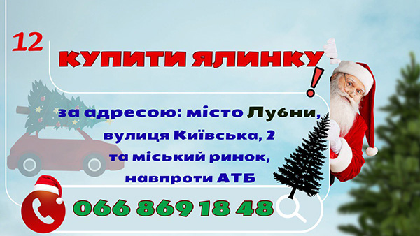 Ялинки в Лубнах!