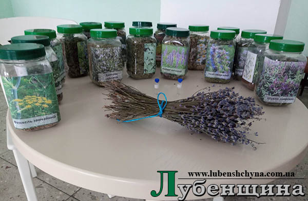 000 642756213 1544249243304566 2820354740533858530 n