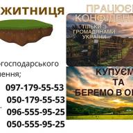 КУПУЄМО та беремо в ОРЕНДУ землі сільськогосподарського призначення 