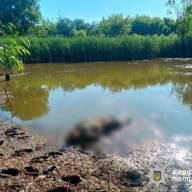 Загибель чоловіка на водоймі в Лубенському районі 