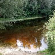 Що там, у сулинській у воді?