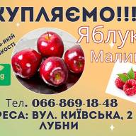  Дорого куплю яблука, малину!