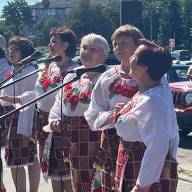Любисток збирав кошти на пікап для 127-ї бригади