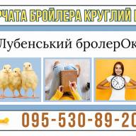 Бройлери від Лубенський бройлерОк