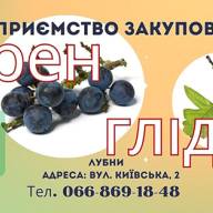Закуповуємо терен та глід