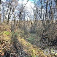 ЖІНКА ЗАБЛУКАЛА В ЛІСІ ПІД НОВАКАМИ І ЗАГИНУЛА