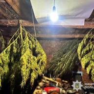 Майже шість кілограмів наркотиків: фігуранту повідомлено про підозру