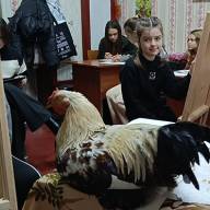 Малюнок з натури 