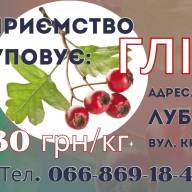 Купуємо ГЛІД