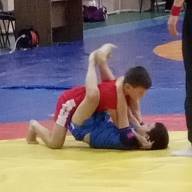 ЗМАГАННЯ З БОЙОВОГО САМБО У ЛУБНАХ