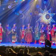 Казковий сон зимової ночі