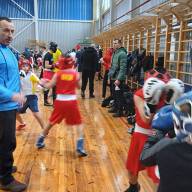 Навчально-тренувальні збори з боксу